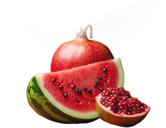 یلدا با مدآی
