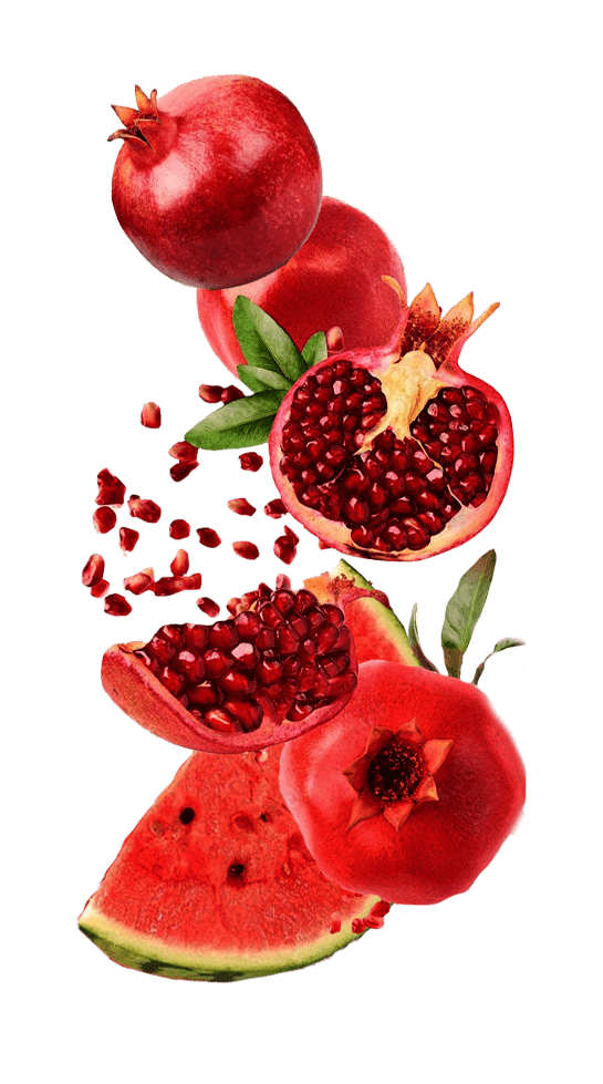 یلدای مدای